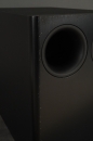 Canton Combi 300 Schwarz - passiver Subwoofer | Gebraucht, siehe Fotos