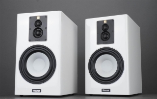 Magnat Signature 703 Aussteller (siehe Details) Paar