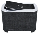Mac Audio BT Elite 5000 Ausstellungsstück N1 Schwarz-Silber Bluetooth-Lautsprecher Akku AUX IN UVP 129 €