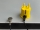 Bfly-Audio PowerBase - Gerätebasis mit Erdungsmodul PowerBase L Natur