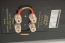 ASW Genius 210, Centerlautsprecher Eiche Schwarz | Neu