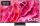SAMSUNG GQ55S92CATXZG 138 cm, 55 Zoll 4K Ultra HD OLED TV