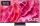 SAMSUNG GQ55S92CATXZG ++ GRATIS WANDHALTER ++ 138 cm, 55 Zoll 4K Ultra HD OLED TV
