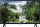 PANASONIC TX-24LSW504 Schwarz, 60 cm, 24 Zoll HD LED Smart TV | Neu