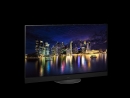 PANASONIC TX-55MZW2004 | 5 JAHRE GARANTIE | 139 cm, 55 Zoll 4K Ultra HD OLED TV
