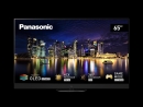 PANASONIC TX-65MZW2004 164 cm, 65 Zoll 4K Ultra HD OLED TV | Neuware | Kartonschaden