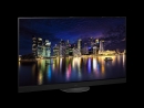 PANASONIC TX-65MZW2004 164 cm, 65 Zoll 4K Ultra HD OLED TV | Neuware | Kartonschaden