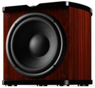 SWAN Sub 10D Palisander Aktiv-Subwoofer | Neu | UVP 834 €