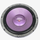 Clarion SRM2591 - 10 Zoll Subwoofer | Aussteller, gut