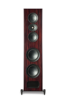 T+A Criterion S 230 - Standlautsprecher Macassar Stück | Neu