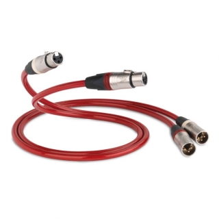 QED REFERENCE EVOLUTION XLR 40 - Stereo XLR-Kabel | Neu