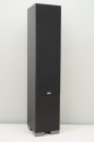 Elac Debut DF51 Schwarz - Standlautsprecher | Einzelstück, siehe Fotos