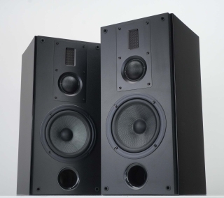 SWAN RM600R Schwarz HG - Regallautsprecher, Paar | Aussteller, sehr gut