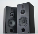 SWAN RM600R Schwarz HG - Regallautsprecher, Paar |...