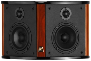 Swan Diva 4.2R - HighEnd Di-Pol Rearlautsprecher Paar *verschiedene Farben