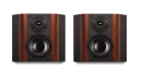 SWAN D3.2R Neu Paar