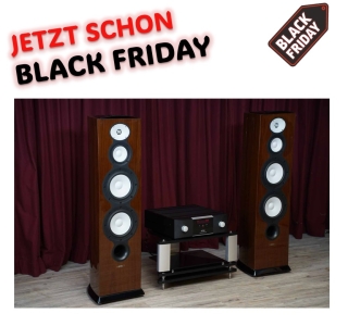 Bundle High-End Audio Bundle: Revel Performa F228Be Standlautsprecher & Mark Levinson No. 5805 Verstärker
