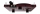 Pro-Ject Debut EVO 2 mit Pick it MM Evo Plattenspieler | Neu *verschiedene Farben*