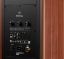 Swan M300 MKII - aktiver Bluetooth-Regallautsprecher, Holz, Paarpreis | Neu