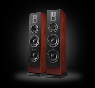 Swan RM800F - 4-Wege Standlautsprecher aus Echtholz, Paar | Neu