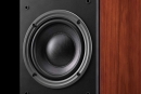 Swan RM800F - 4-Wege Standlautsprecher aus Echtholz, Paar | Neu