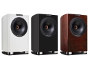 Fyne Audio F701 SP - 2-Wege Regallautsprecher, Paar | Neu