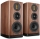 Wharfedale EVO 5.2 - Regallautsprecher- Walnuss, Paar | Neu