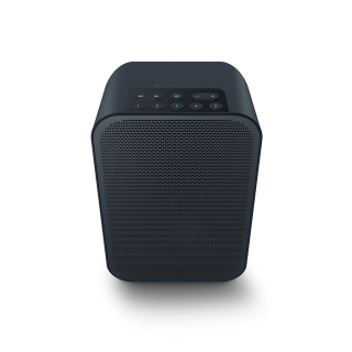 Bluesound PULSE FLEX 2i Schwarz - Der portable und flexible Streaming-Lautsprecher für Zuhause und unterwegs | Auspackware, wie neu