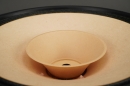 Fostex FE208 Σ Sigma Doppelkomus-Fullrange-Lautsprecher 20 cm, 8 Ohm I Paarpreis I Neu