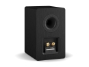 DALI KUPID - Black Ash - Regallautsprecher, Stück | Neu