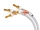 Supra Cables XL Annorum Lautsprecherkabel, Paar 4x3.2 Bi-Wire | 2,00 m | Auspackware, wie neu