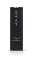Cayin Jazz 90 KT88 - Röhrenverstärker | Neu
