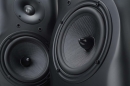 Swan M806B HighEnd Standlautsprecher in edlem Echtholz - Paar | Aussteller, sehr gut