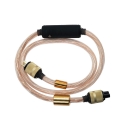 iFi Audio SilentPower SupaQuasar –...