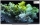 METZ blue 50MQF8001Z 126 cm, 50 Zoll 4K Ultra HD QLED TV