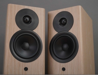 Dynaudio Focus 10 - kabellose Aktiv-Regallautsprecher, Paar Blonde Wood | Auspackware, sehr gut