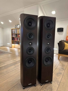 ASW GENIUS 510 3-Wege Standlautsprecher, Paar Wenge | Verkauf im Kundenauftrag