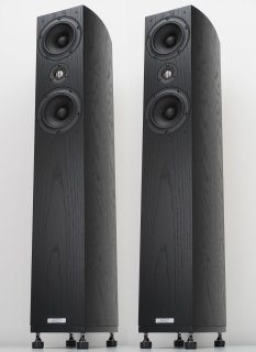 ASW GENIUS 310 - Standlautsprecher, Paar, Eiche Schwarz | Neu