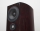 ASW Genius 310 Eiche Maron Hochglanz Neu Paar