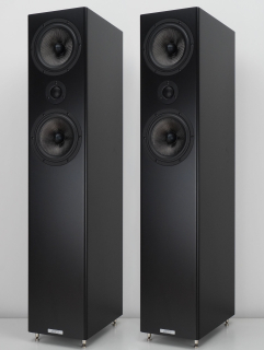 ASW CANTIUS 512 - Standlautsprecher, Paar, Schwarz Schleiflack | Aussteller, siehe Fotos