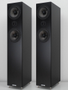 ASW CANTIUS 512 - Standlautsprecher, Paar, Schwarz...
