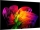 LG OLED83W69LA.AEU 210 cm, 83 Zoll 4K Ultra HD OLED evo TV | Kartonschaden