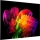 LG OLED83W69LA.AEU 210 cm, 83 Zoll 4K Ultra HD OLED evo TV | Kartonschaden
