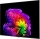 LG OLED55G69LS.AEU 139 cm, 55 Zoll 4K Ultra HD OLED evo TV