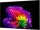LG OLED55G69LS.AEU 139 cm, 55 Zoll 4K Ultra HD OLED evo TV