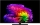 LG OLED55G69LS.AEU +++ 200,-EURO CASHBACK +++ 139 cm, 55 Zoll 4K Ultra HD OLED evo TV