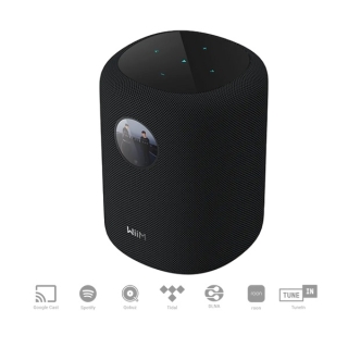 Wiim Sound Schwarz - Smart Lautsprecher | Auspackware, wie neu