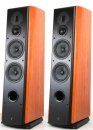 Swan M6F HighEnd Standlautsprecher in Echtholz/schwarz,...