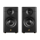 SWAN D3.1-MKII - Regallautsprecher, Paar | Neu