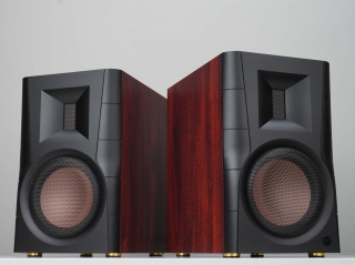 Swan D300 - aktiver Bluetooth-Regallautsprecher, Paar | Auspackware, siehe Fotos